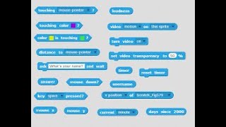 Learning Scratch ( Sensing Blocks )