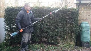 hedge and shrub trimming