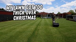 Tearing up my lawn to make it healthier // fixing my neglected lawn