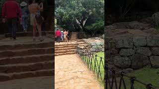 Road to Sigiriya #nature #sigiriya #srilankan