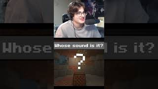 Guess The Minecraft Sounds 🔊