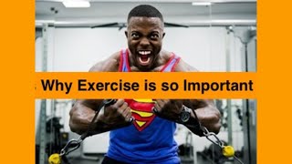 5 REASONS WHY EXERCISE IS SO IMPORTANT