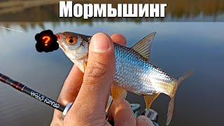 Плотва на мормышинг