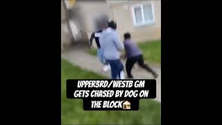 Upper3rd/WestB gm gets chased by dog on the block #ukdril #trendingshorts