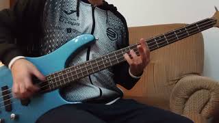 New Skin - Incubus (Raw Bass Cover)