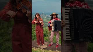 Luciana Zanatta e Fernando Ávila (violino e acordeon) divulgação Viveiro Café