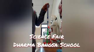 Preparation for Science Fair