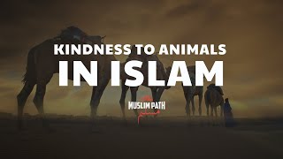 Kindness to Animals in Islam