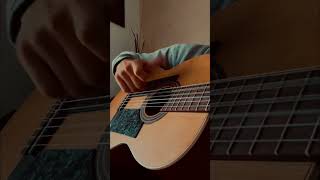 It’s crazy flamenco acoustic guitar ?