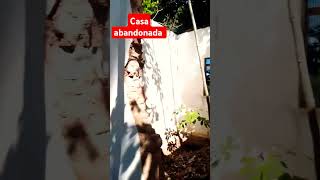 Casa abandonada no meio do mato #casaabandonada