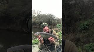 A NICE CHUB SAVES THE DAY filming bobbers & lobworms #shorts #chub