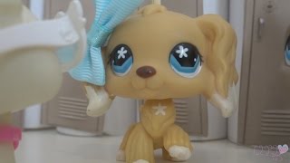 LPS Series-Other Way Around #6-Mixed Feelings