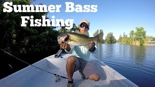 Summer Time Bass Fishing !!