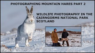 Photographing Mountain Hares in the Cairngorms part 2