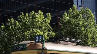 Raising and lowering the pantograph of a W class tram