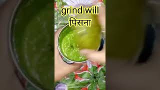 Green Chilli Chutney Recipe हरी मिर्च चटनी रेसिपी Video kaise Lage Comments kar ke batao#short #ytsh