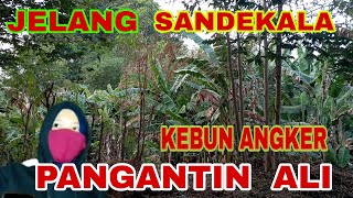 🔴LIVE MISTERI MENJELANG SANDEKALA PENGANTIN ALI CIRACAS