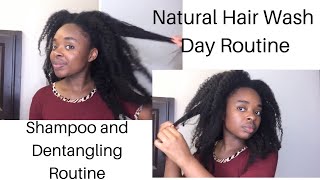 CURLY HAIR SOLUTIONS - Natural Hair Wash | Prepoo Routine | Wash Day Routine PART 1