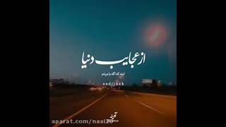 ۹ فوریهٔ ۲۰۲۱