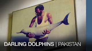 Darling Dolphins | Pakistan