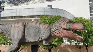 The BIG DINOSAUR IN TST HK @KONGYOUNG'S