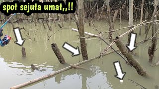 mancing di muara kecil penuh patok patok