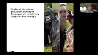 SEEM 2021 04 09 S. Alberts: "The medicine of life: Social life and survival in primates"