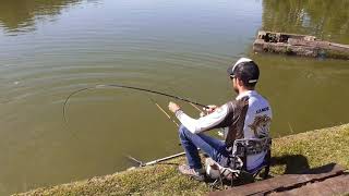 Pesqueiro Taquari + Massa japonesa= peixe na linha sempre....