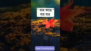 কষ্টের স্ট‍্যাটাস | কষ্টের কথা |sad status | whatsapp status | @hearttouchingsuro640