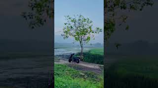 Morning vibe | kerala | nature photography whatsapp status | as we travel