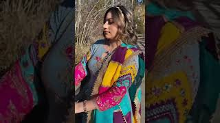 multicolour dupatta punjabi suit