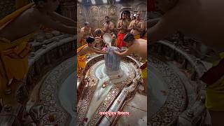 जयशंभुनाथ दिगंबरम, श्री महाकालेश्वर उज्जैन। रुद्राभिषेक  #ujjain #mahakaleshwar #ankitvlogdiary