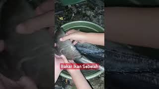 Bakar Ikan di kebun belakang rumah saudara #pandeglang #ikan #labuan #banten #mancingmania