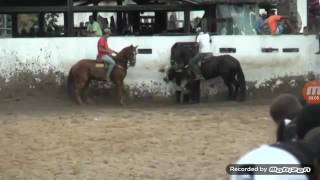 O CAVALO PEPSI BY GRIG BAR NA VAQUEJADA EM POJUCA BA