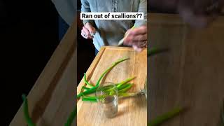 Grow your own scallions! #cooking #food #tips #tip #cookingtip #tipsandtricks #greenonion #yummy