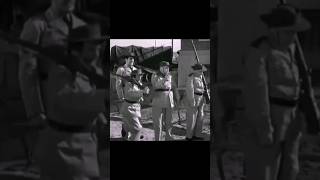 The Three Stooges l Funny Army moments l Clip 10 #funnyvideo #short