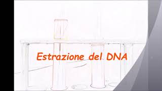 Laboratorio ed esperimenti scientifici all'Einaudi Casaregis Galilei