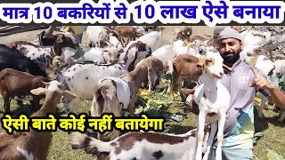 मात्र 10 बकरी से 10 लाख तक का सफर ऐसे किया! Bakari Palan Succes Story #goatfarming