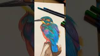 Is Faber Castell the BEST Color Pencil for Kingfisher Drawings?