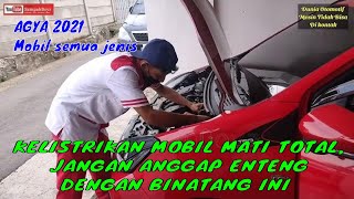 PENYEBAB KELISTRIKAN MOBIL MATI TOTAL, JANGAN ANGGAP ENTENG DENGAN HEWAN INI