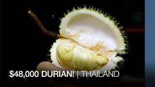 This Thai durian costs $48,000! | Asia Featured