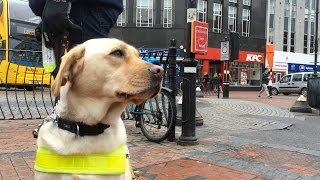 Blind struggling in Reading town centre