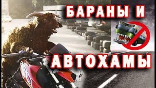 Автохамство.  Быдло на дороге.