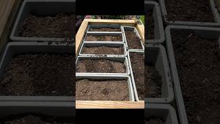 Ep. 2 Herb Garden #garden