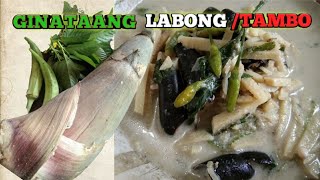 Paano mag luto ng labong