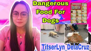 Dangerous Food For Dogs | Food to Avoid for our furbabies | Health that matters |