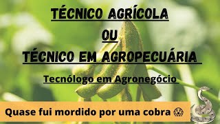 Técnico AGRÍCOLA ou Técnico em AGROPECUARIA? qual a diferença?