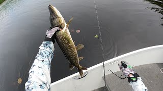 Northern Pike & Largemouth Bass