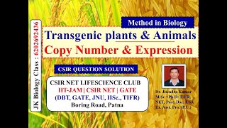 Transgenic plants & Animals | Copy number of trans gene & Expression | CSIR NET LIFE SCIENCE