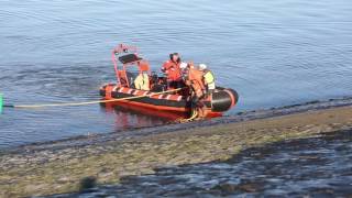 Gestrande boei op zeedijk geborgen